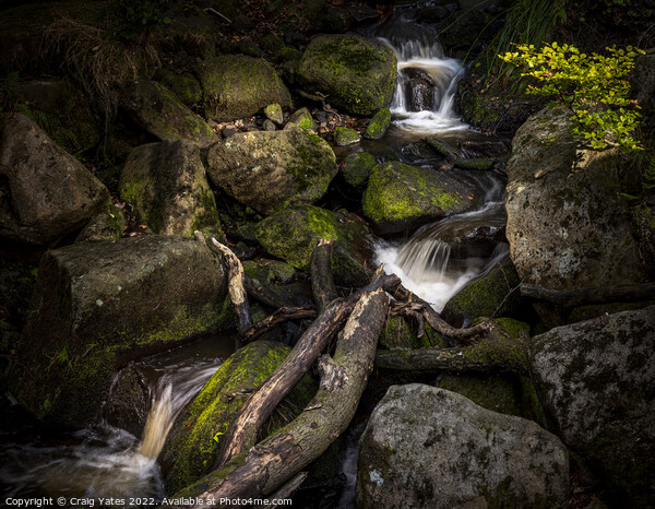 Padley Gorge Waterfalls. Picture Board by Craig Yates