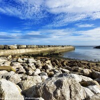 Buy canvas prints of Staithes Breakwater by Craig Yates