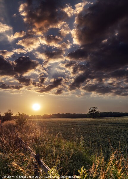 Sunset Over A field of Wheat Picture Board by Craig Yates