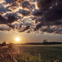 Buy canvas prints of Sunset Over A field of Wheat by Craig Yates