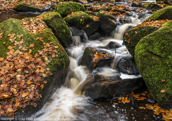 Wyming Brook Autumnal Waterfall Peak District Picture Board by Craig Yates