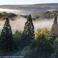 Buy canvas prints of Mist In The Trees Peak District Derbyshire by Craig Yates