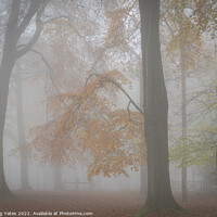Buy canvas prints of Misty Autumn Woodland Grindleford Peak District by Craig Yates