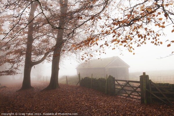 Longshaw Estate Misty Autumnal Morning. Picture Board by Craig Yates