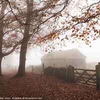 Buy canvas prints of Longshaw Estate Misty Autumnal Morning. by Craig Yates