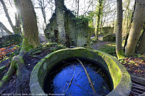 Bone Mill Ruins Lumsdale Falls Matlock Derbyshire Picture Board by Craig Yates