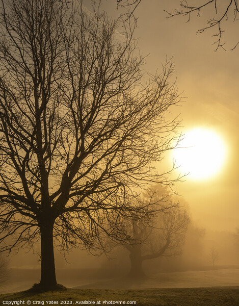 Misty Morning Sunrise Glebe Park. Picture Board by Craig Yates