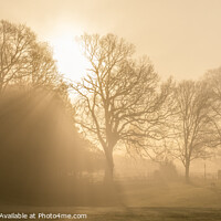 Buy canvas prints of Misty Morning Sunrise Glebe Park. by Craig Yates