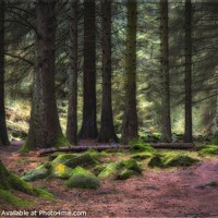 Buy canvas prints of Snake Woodland Hope Valley Peak District. by Craig Yates