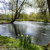 Buy canvas prints of River Wye Bakewell Derbyshire. by Craig Yates