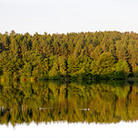 Buy canvas prints of Linacre Reservoirs Reflection   by Craig Yates