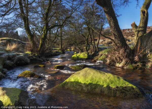 Burbage Brook Padley Gorge Picture Board by Craig Yates