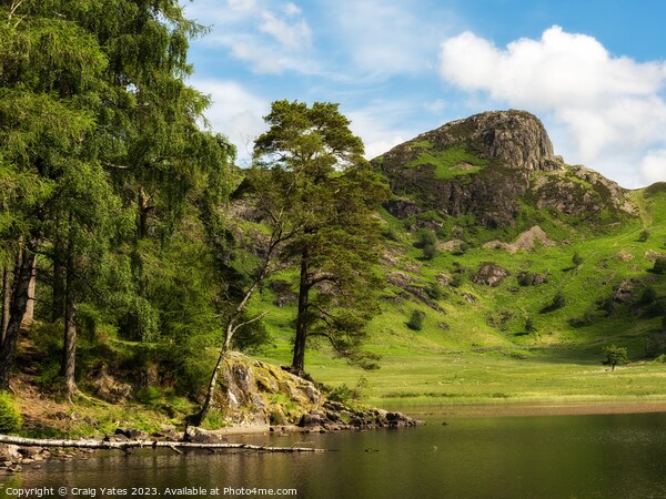Blea Tarn Lake District Picture Board by Craig Yates