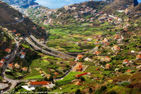 Madeira Island Landscape Portugal Picture Board by Craig Yates
