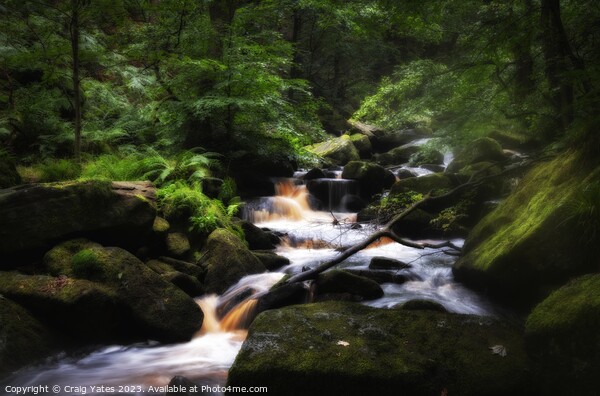 Padley Gorge Summer Waterfalls. Picture Board by Craig Yates