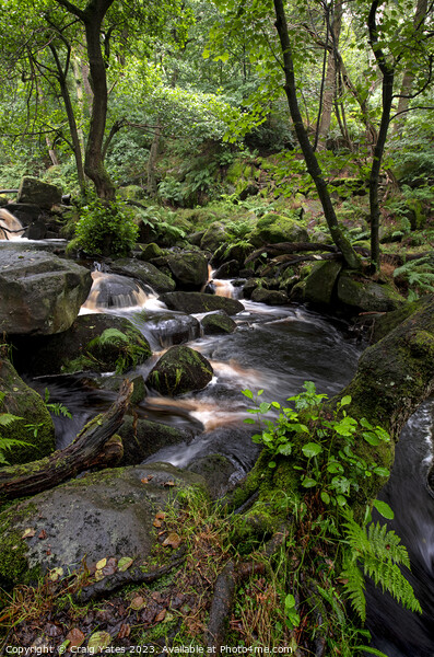 Padley Gorge Summer Waterfalls. Picture Board by Craig Yates