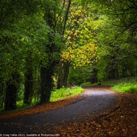 Buy canvas prints of Along The Road to Autumn. by Craig Yates