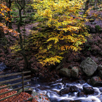 Buy canvas prints of Autumn in Padley Gorge Peak District. by Craig Yates