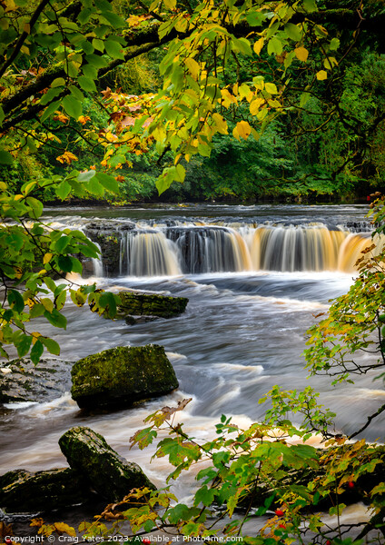 Aysgarth Upper Falls Yorkshire. Picture Board by Craig Yates