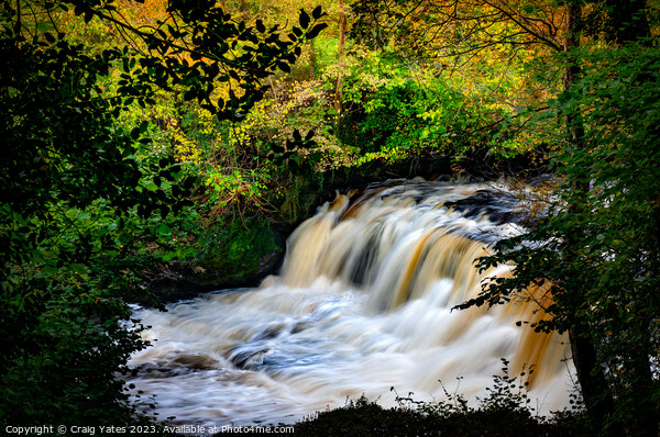 Aysgarth Middle Falls Yorkshire. Picture Board by Craig Yates