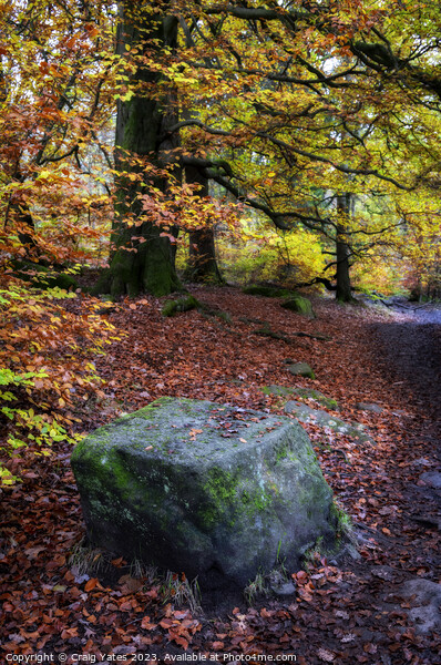 Autumn in Padley Gorge Peak District. Picture Board by Craig Yates