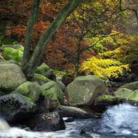 Buy canvas prints of Autumn in Padley Gorge Peak District. by Craig Yates