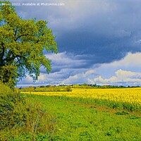 Buy canvas prints of Field View Oil Panting effect by Stephen Pimm