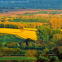 Buy canvas prints of Countryside Field View by Stephen Pimm
