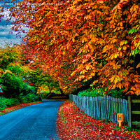 Buy canvas prints of Baldons in Autumn by Stephen Pimm