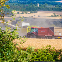 Buy canvas prints of Harvest Field View by Stephen Pimm