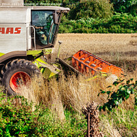 Buy canvas prints of Harvesting the Field by Stephen Pimm