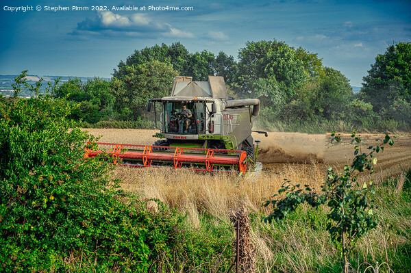 Combine Harvesting the Field Picture Board by Stephen Pimm