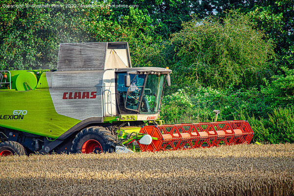 A Combine Harvesting the Field Picture Board by Stephen Pimm