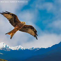Buy canvas prints of Red Kite Mountains by Stephen Pimm