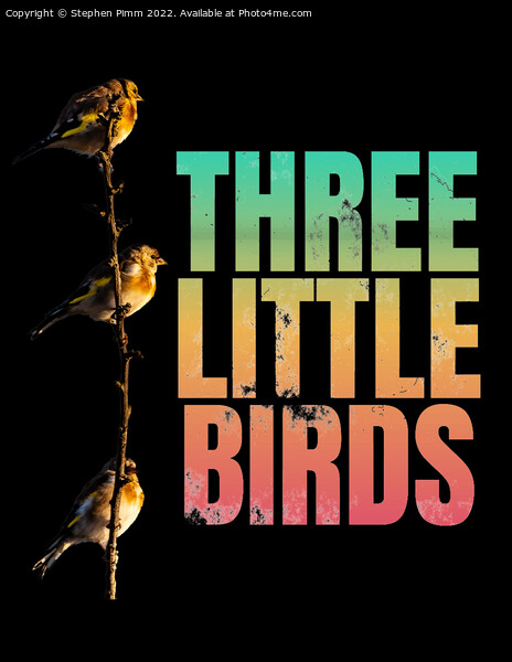 Three Little Birds Picture Board by Stephen Pimm