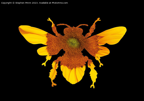 Sunflower Bee Silhouette Picture Board by Stephen Pimm