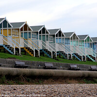 Buy canvas prints of Minster-on-sea Beach Huts by Ray Putley