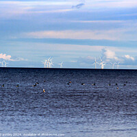 Buy canvas prints of Minster-on-sea Wind farms  by Ray Putley