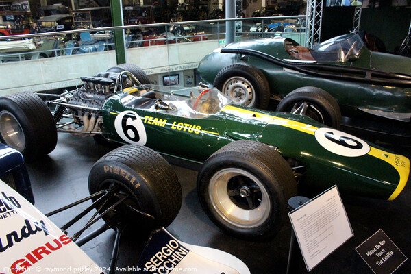 Team Lotus Race Car at Beaulieu Motor Museum  Picture Board by Ray Putley