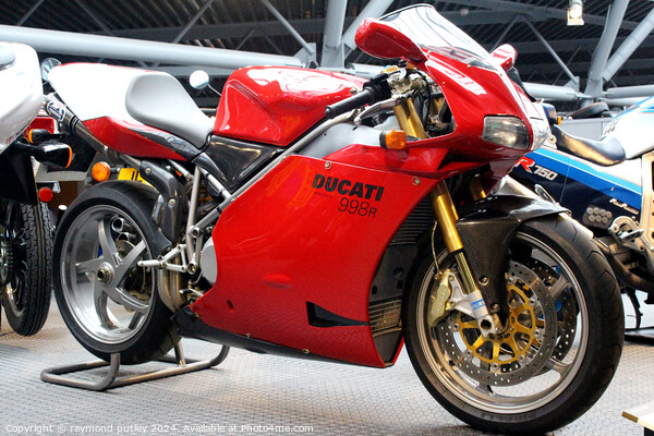 2002 Ducati 998R Picture Board by Ray Putley