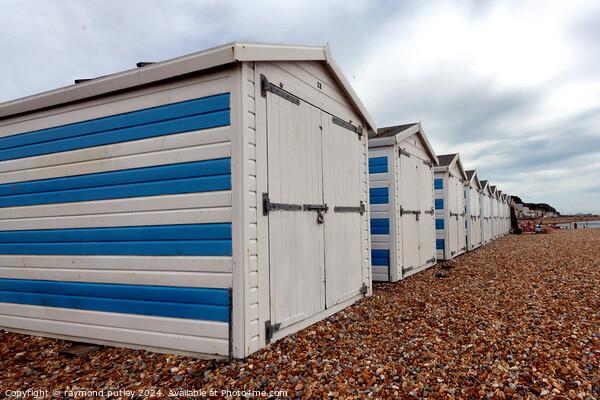 Hastings Seafront - Beach Huts Picture Board by Ray Putley