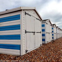 Buy canvas prints of Hastings Seafront - Beach Huts by Ray Putley