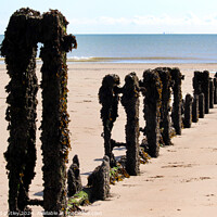 Buy canvas prints of Dymchurch Seafront by Ray Putley