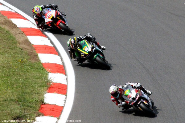 Pirelli National Superstock Championship - Brands Hatch 2023 Picture Board by Ray Putley