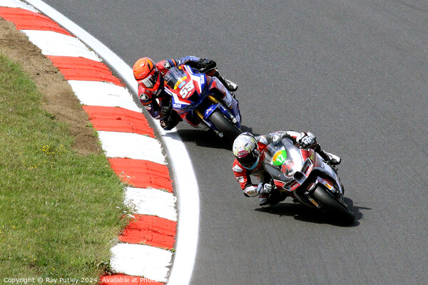 Pirelli National Superstock Championship - Brands Hatch 2023 Picture Board by Ray Putley