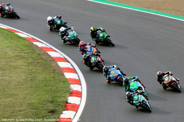 HEL Performance British Supersport Championship wi Picture Board by Ray Putley