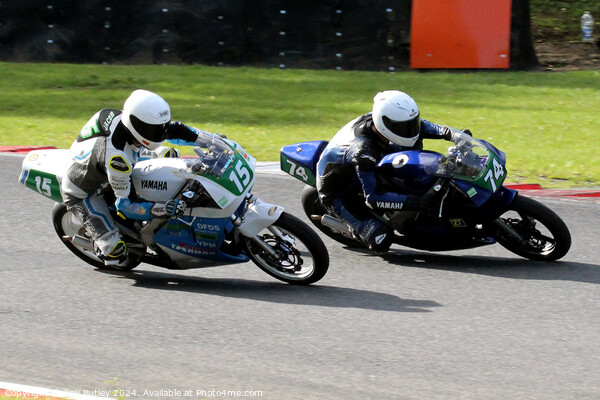 Yamaha Past Masters  - Yamaha TZR250 Racing. Picture Board by Ray Putley