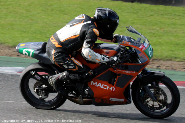 Yamaha Past Masters  - Yamaha TZR250 Racing. Picture Board by Ray Putley