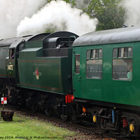 Buy canvas prints of Spa Valley Railway by Ray Putley