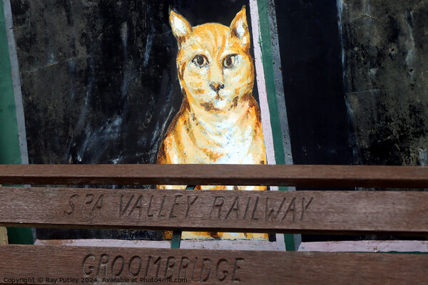 Spa Valley Railway Picture Board by Ray Putley